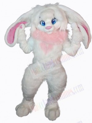 Easter Bunny Rabbit mascot costume