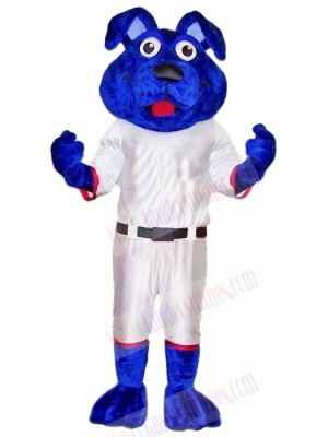 Blue Dog with White Suit Mascot Costumes Animal	