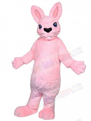 Bunny Rabbit mascot costume