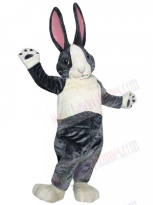 Bunny Rabbit mascot costume