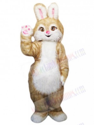 Easter Bunny Rabbit mascot costume