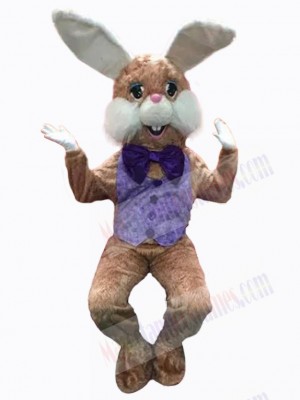 Easter Bunny Rabbit mascot costume