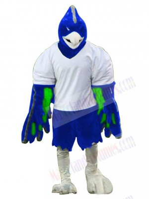 Phoenix Bird mascot costume