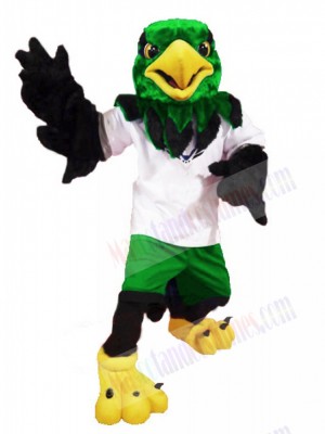 Hawk mascot costume