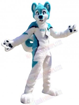 Dog mascot costume