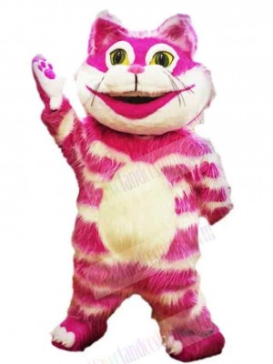 Cat mascot costume