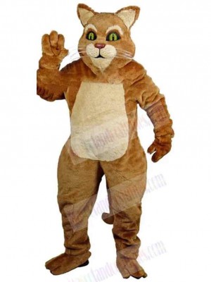 Cat mascot costume