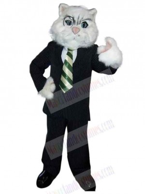 Cat mascot costume