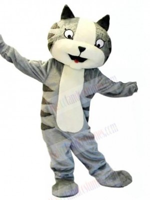 Cat mascot costume