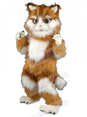 Cat mascot costume