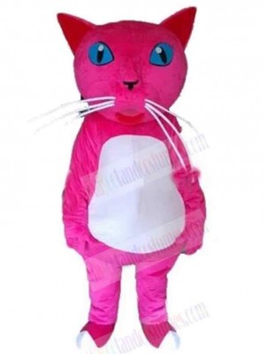 Cat mascot costume