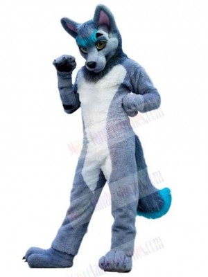 Wolf mascot costume