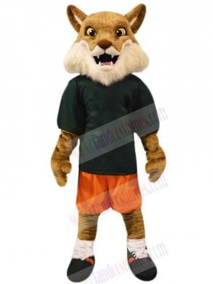 Wolf mascot costume