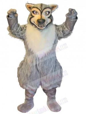 Wolf mascot costume