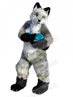 Wolf mascot costume