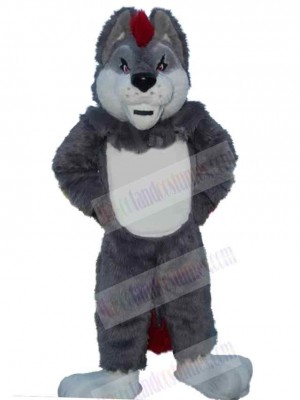 Wolf mascot costume