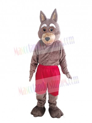 Coyote mascot costume