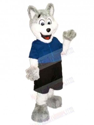 Wolf mascot costume