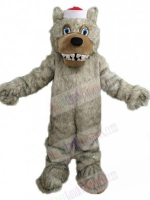 Wolf mascot costume