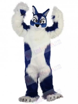 Wolf mascot costume