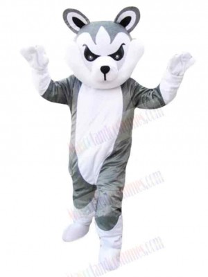 Wolf mascot costume