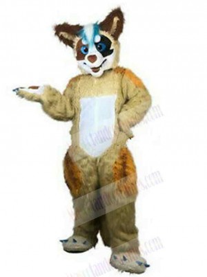 Wolf mascot costume