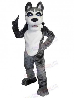 Wolf mascot costume