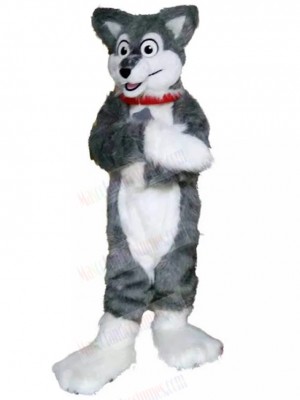 Dog mascot costume
