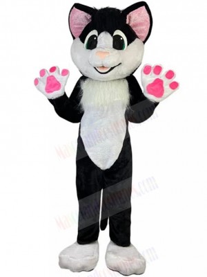 cat mascot costume