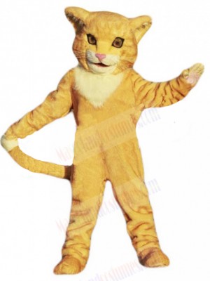 cat mascot costume