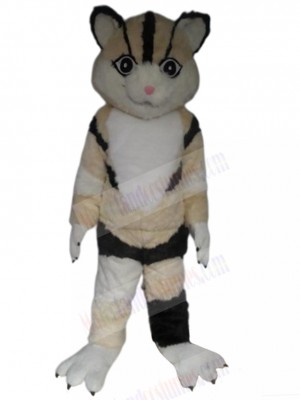 cat mascot costume