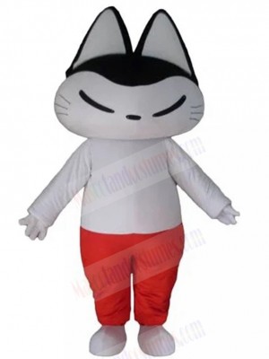 cat mascot costume