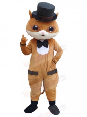 cat mascot costume