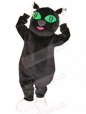cat mascot costume