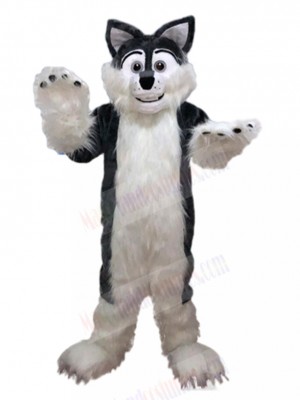 wolf mascot costume