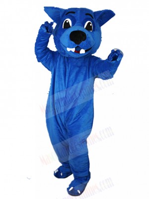 wolf mascot costume