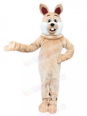 Rabbit mascot costume