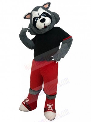 wolf mascot costume