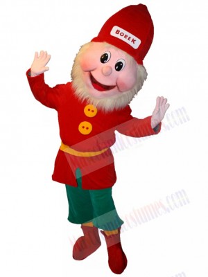 Leprechaun mascot costume