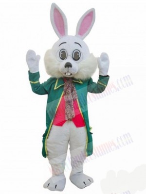 Wendell Rabbit mascot costume