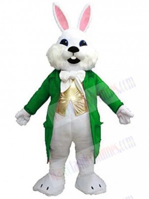 Easter Bunny mascot costume
