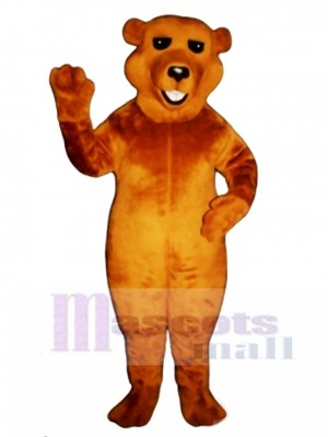 New Barry Bear Mascot Costume