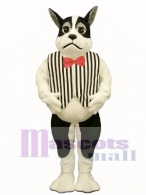 Cute Harrington Dog with Vest Mascot Costume