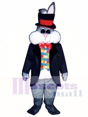 Cute Easter Bunny Rabbit In Hat Mascot Costume