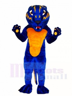 Blau Bearcat Maskottchen Kostüme Tier 
