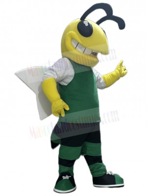 Hornet mascot costume