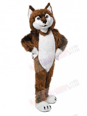 Wolf mascot costume