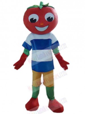 Tomato mascot costume