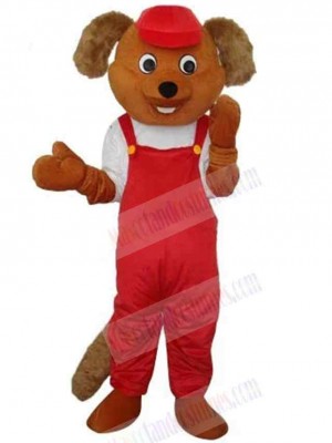 Bear mascot costume