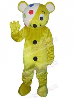 Bear mascot costume